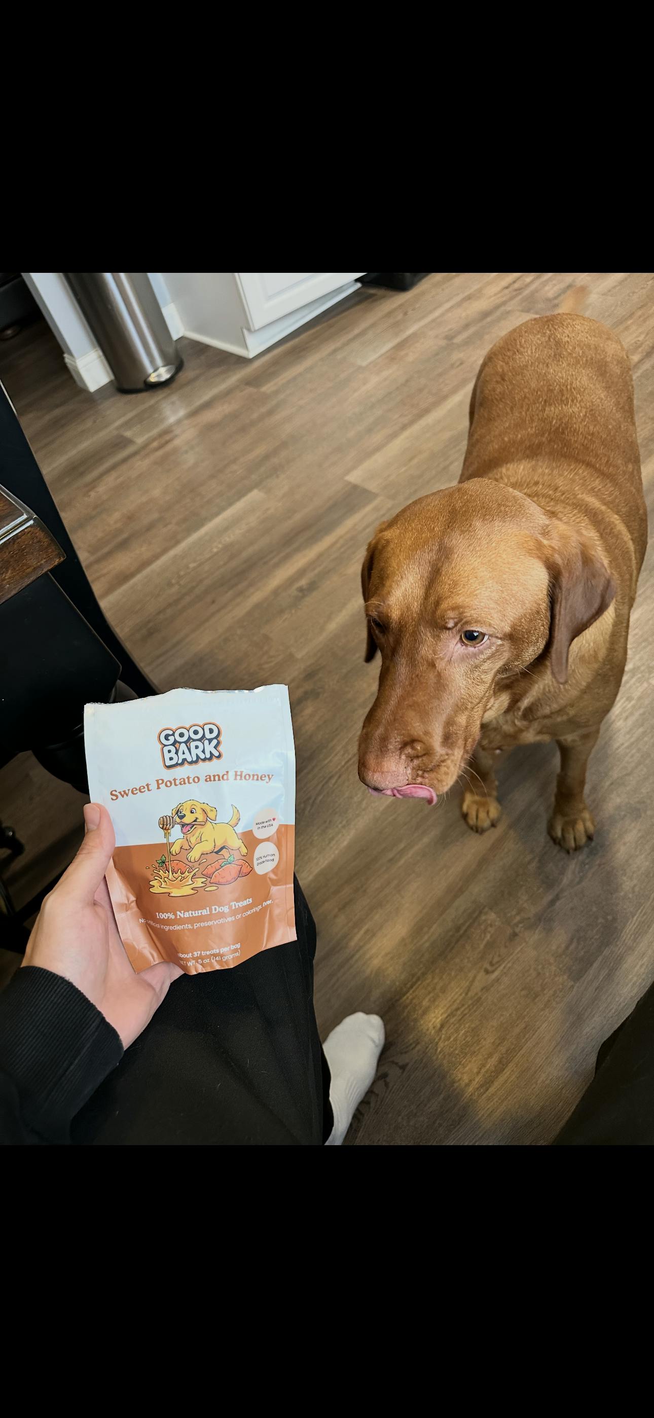 Good Bark customer photo from Verified Customer