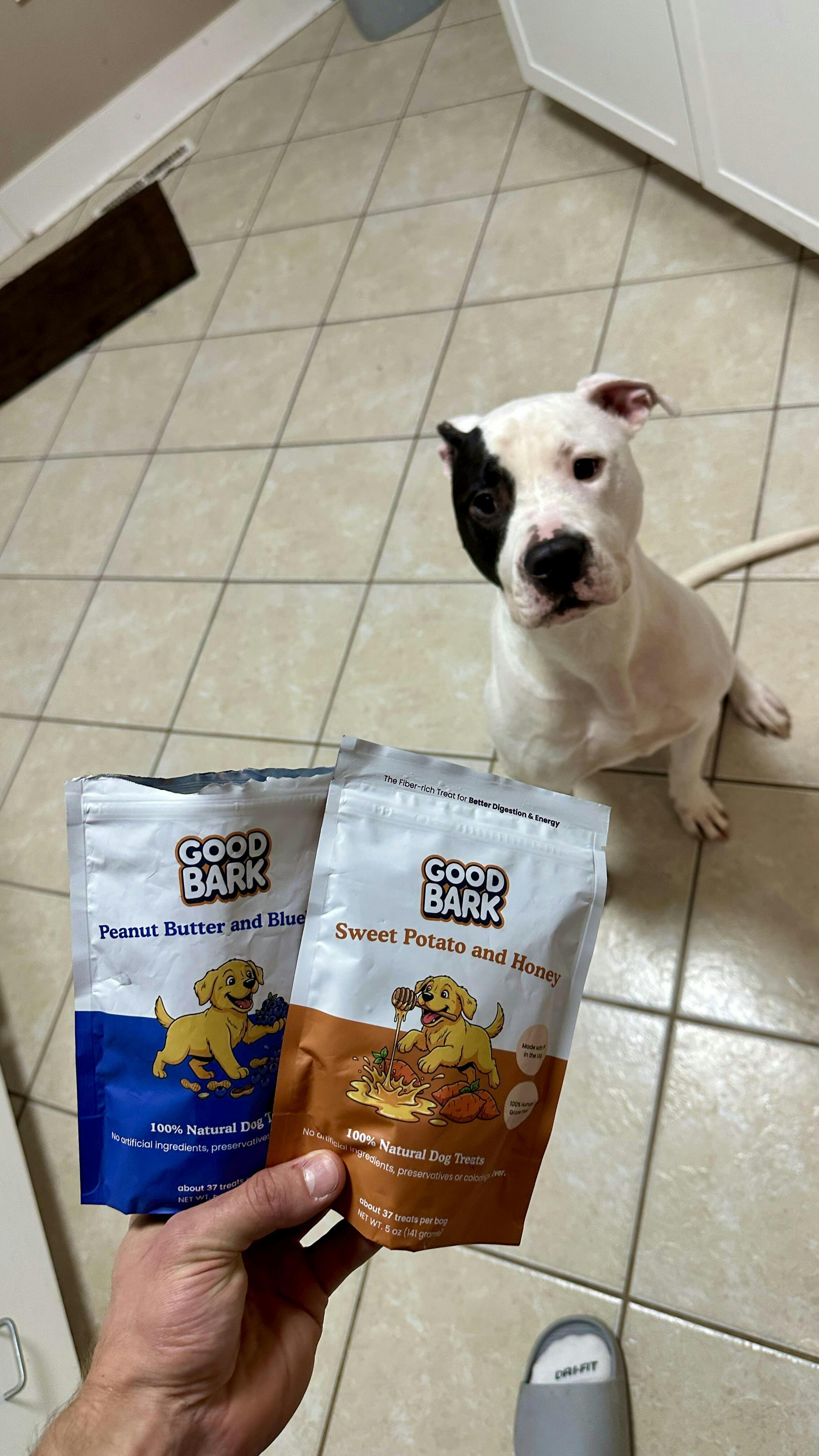 Good Bark customer photo from Justin Kudera