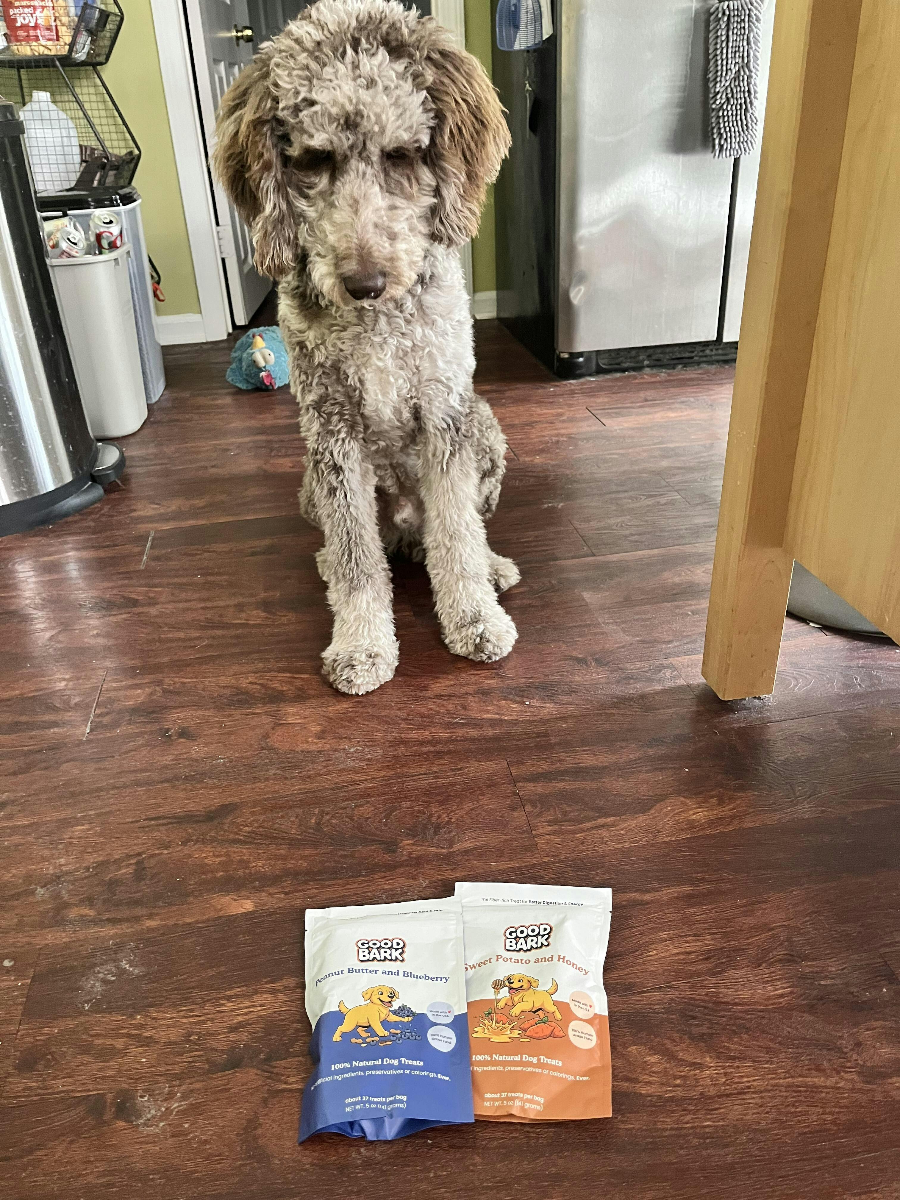 Good Bark customer photo from Kyle Mcgowan