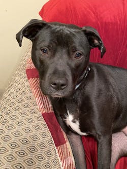 Peanut Butter Recipe