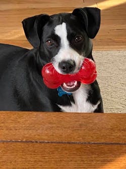 Parmesan Cheese Recipe