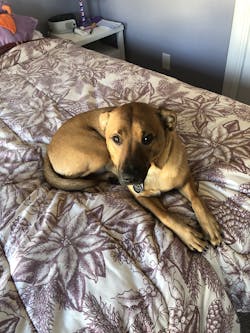 Peanut Butter Recipe