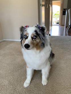 Peanut Butter Recipe