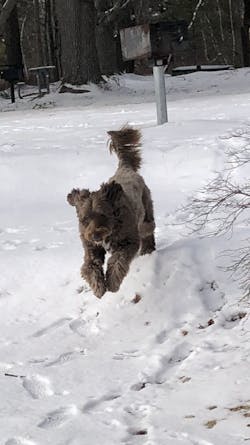 Peanut Butter Recipe