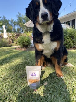 Parmesan Cheese Recipe