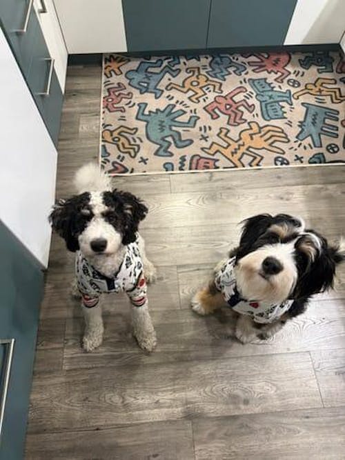 Where's Santa Pajama