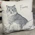 GoodBarks Custom Pet Portrait Pillow