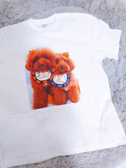 オリジナルTシャツ United Athle　5001-01　5.6オンス ハイクオリティー Tシャツ