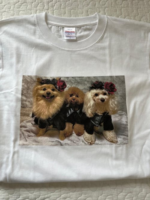 オリジナルTシャツ United Athle　5001-01　5.6オンス ハイクオリティー Tシャツ