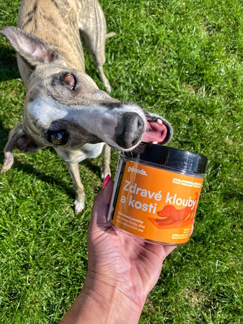 Zdravé klouby a kosti