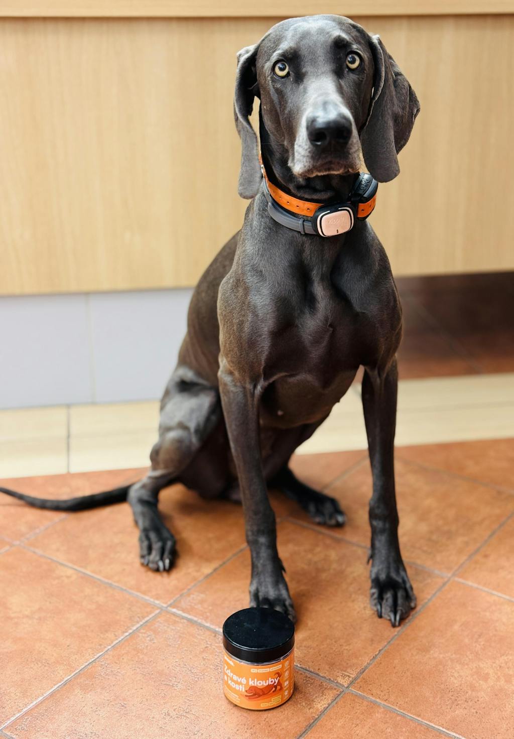 Zdravé klouby a kosti