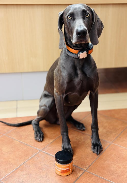 Zdravé klouby a kosti