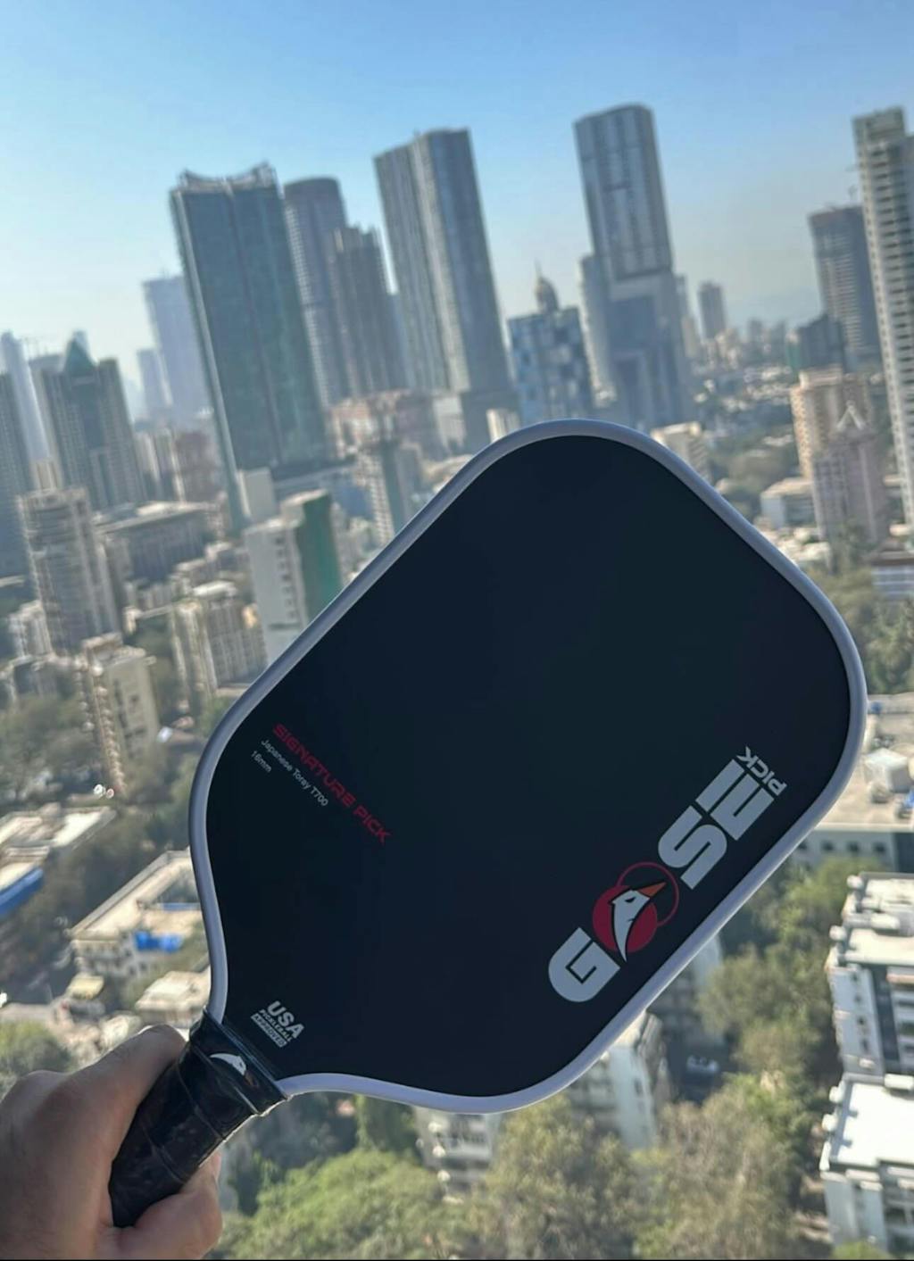 Goosepick | India’s Ultimate Pickleball Powerhouse