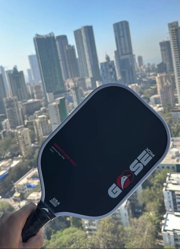 Goosepick | India’s Ultimate Pickleball Powerhouse