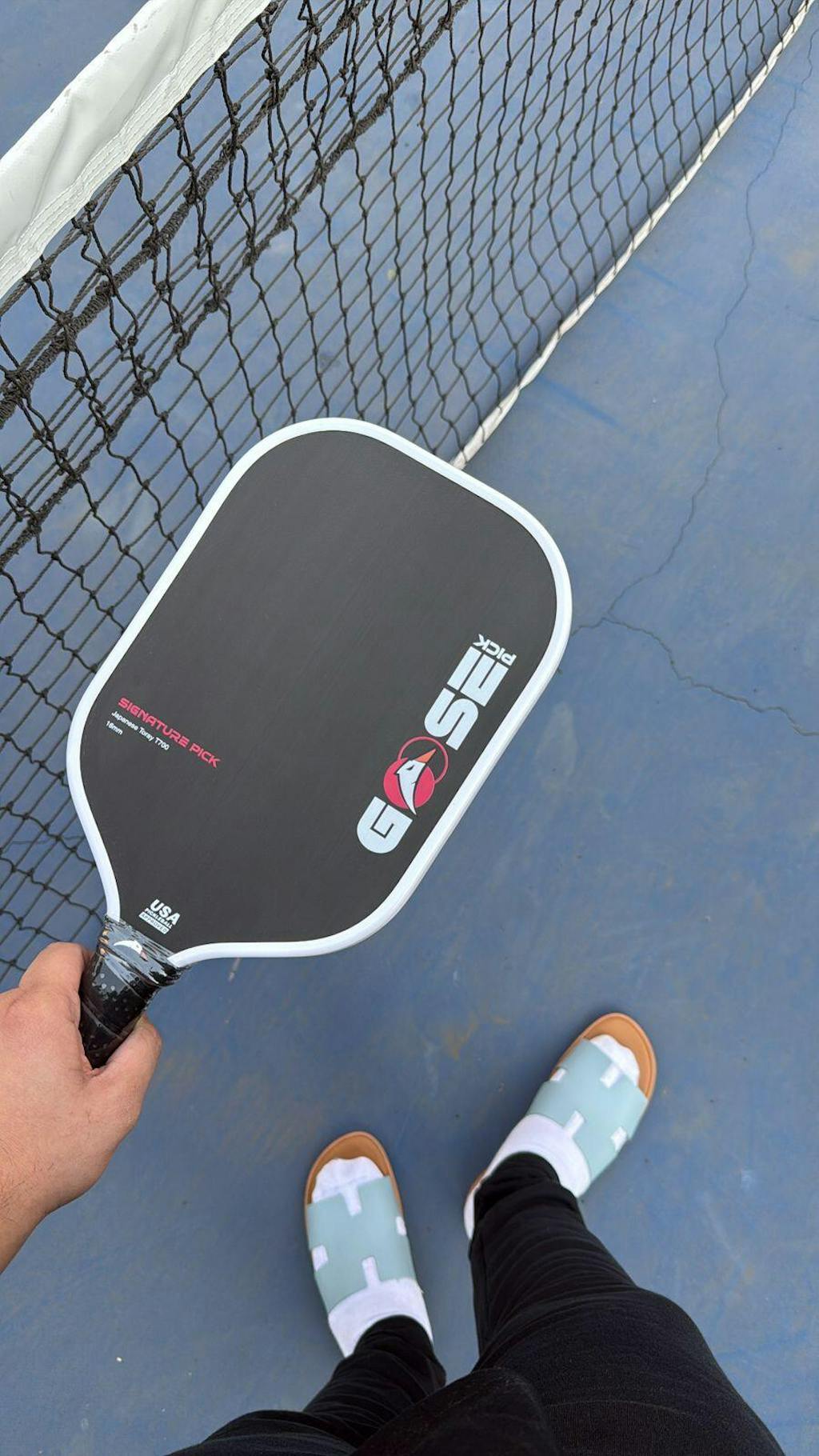 Goosepick | India’s Ultimate Pickleball Powerhouse