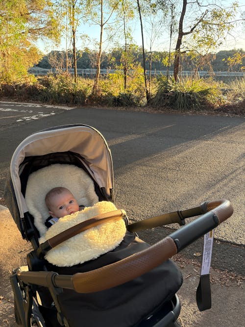 Classic Wool Footmuff 2in1 Pram Liner