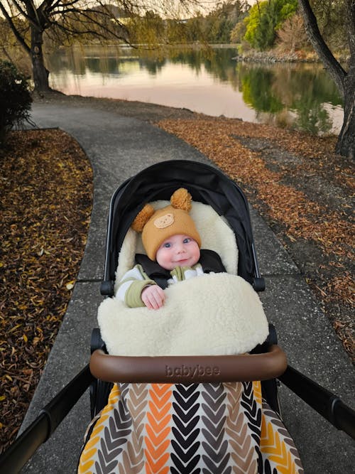 Classic Wool Footmuff 2in1 Pram Liner