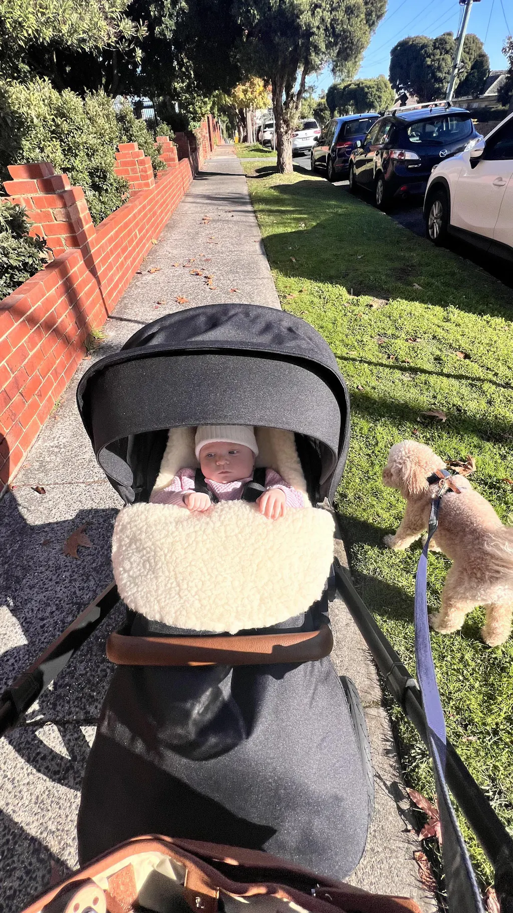 Classic Wool Footmuff 2in1 Pram Liner