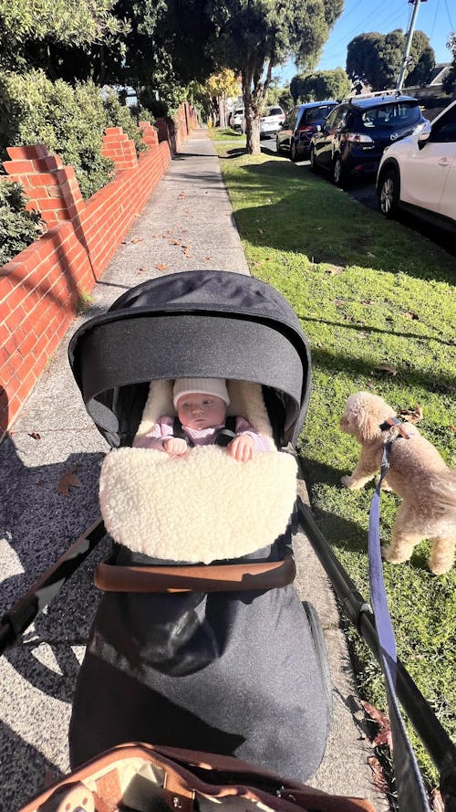 Classic Wool Footmuff 2in1 Pram Liner