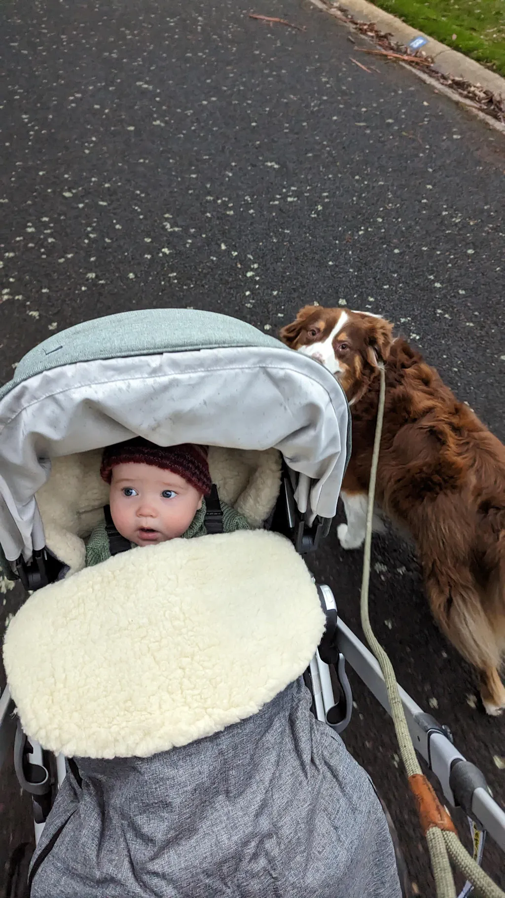 Classic Wool Footmuff 2in1 Pram Liner