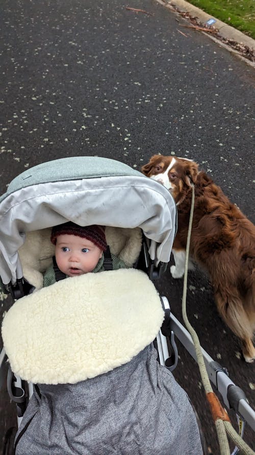 Classic Wool Footmuff 2in1 Pram Liner