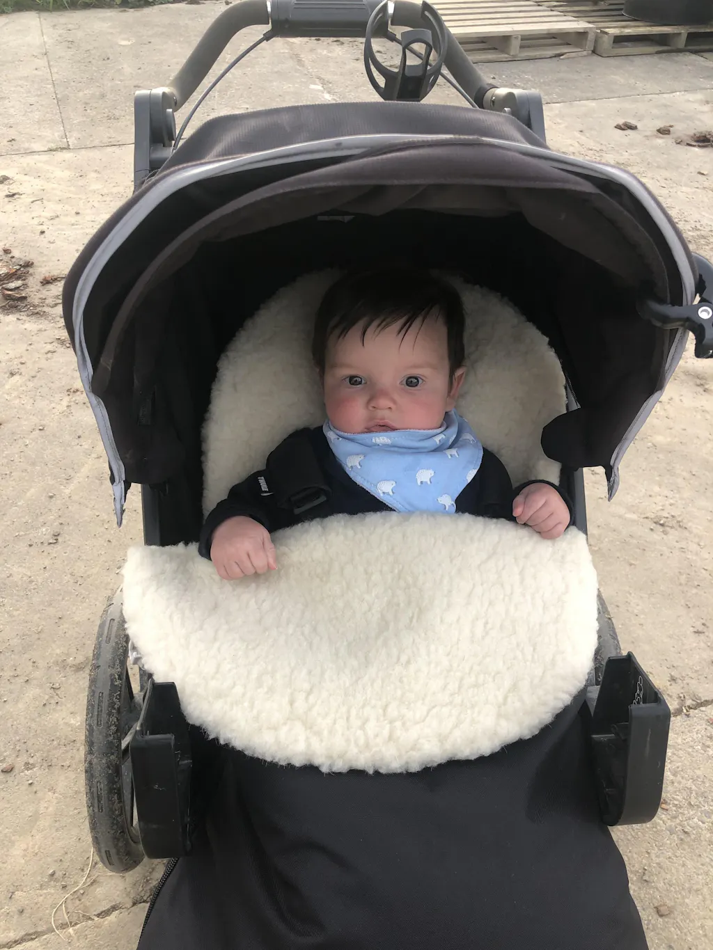 Classic Wool Footmuff 2in1 Pram Liner