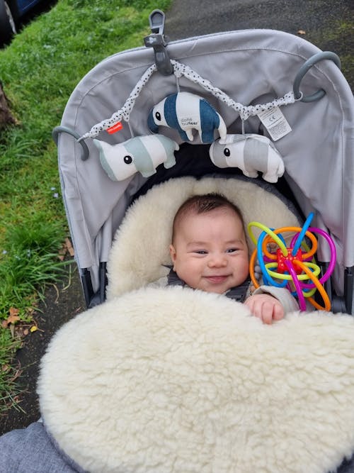 Classic Wool Footmuff 2in1 Pram Liner