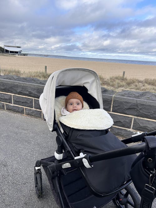 Classic Wool Footmuff 2in1 Pram Liner