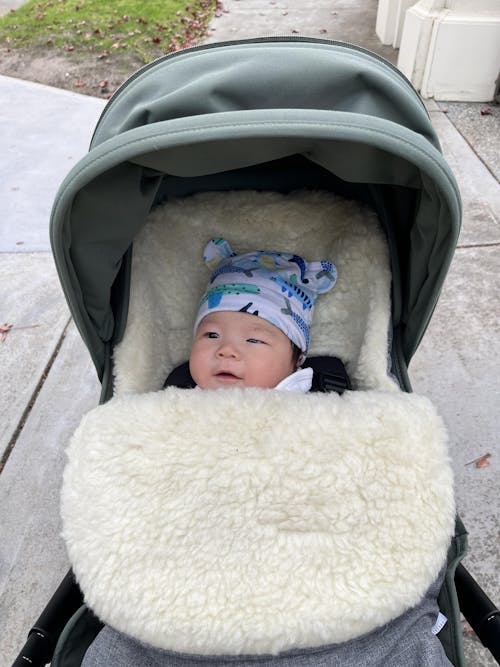 Classic Wool Footmuff 2in1 Pram Liner