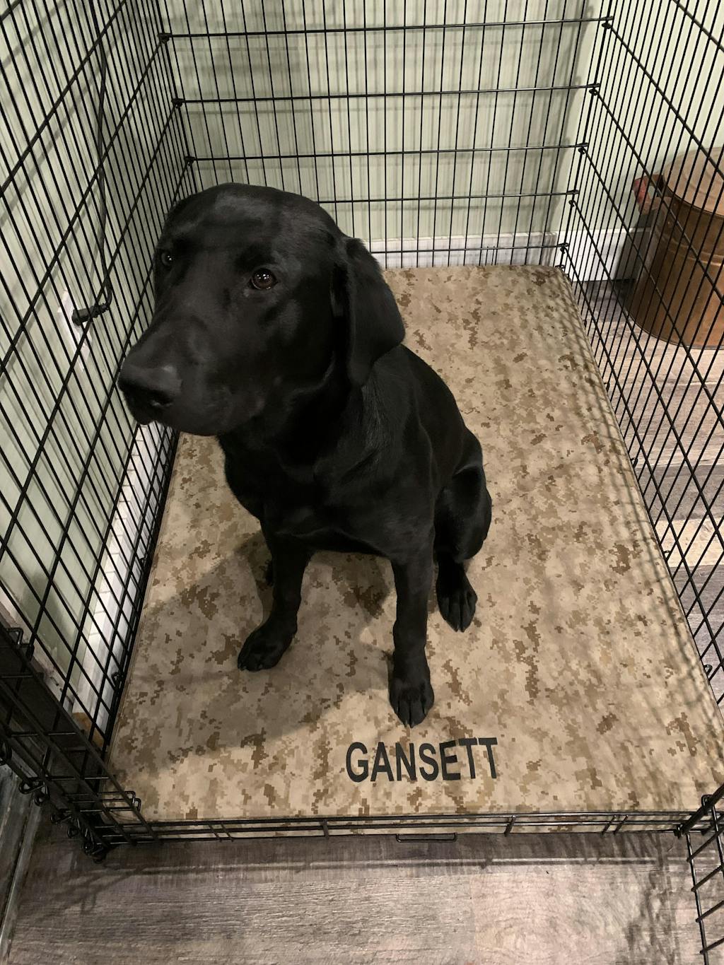 Gorilla Tough Orthopedic Dog Crate Pad™ Gorilla Dog Beds