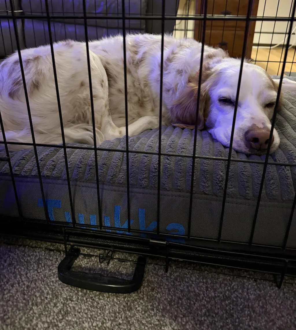 Plush Pup Nesting Dog Bed Featuring Cordura® Gorilla Dog Beds®