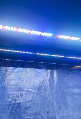 Gorilla Xi220 LED Grow Light