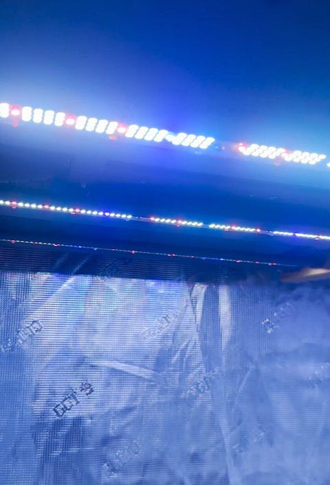 Gorilla Xi220 Full Spectrum LED Grow Light for Indoor Plants