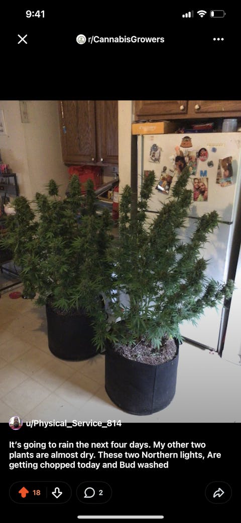 Lotus Nutrients Bloom Pro Series