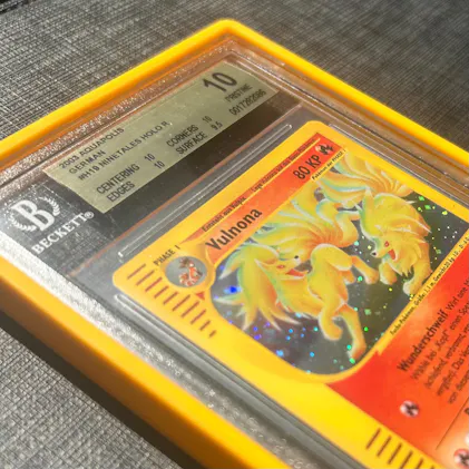 GradedGuard Case - BGS