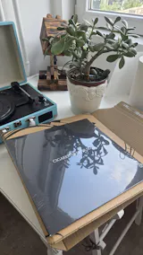 User picture