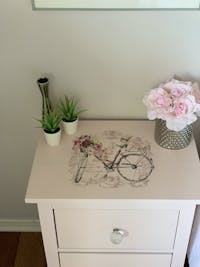 Redesign Transfer - Bike Rides