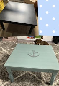 Vintage Duck Egg Chalk Mineral Paint - Dixie Belle Paint