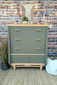 Cactus - Silk All-In-One Mineral Paint