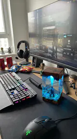 User picture