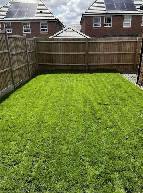 Ultimate Lawn Kit