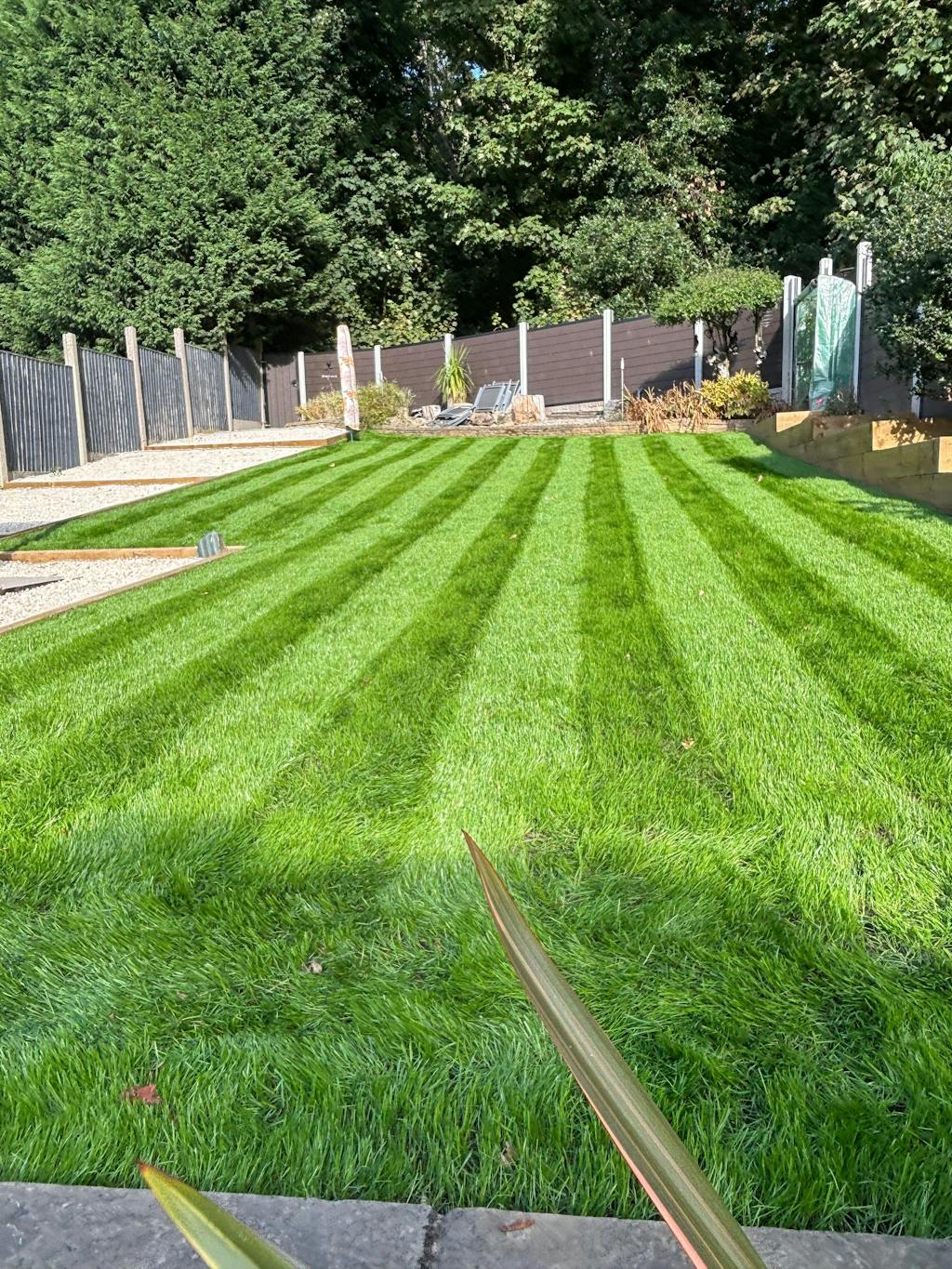 Great British Lawn Co