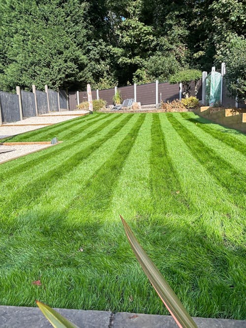 Great British Lawn Co