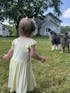 Summer Haze Twirl Snap Dress