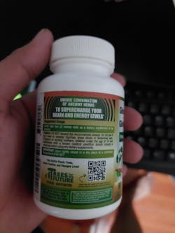 Ginseng and Ginkgo Biloba Cognitive Support (60 Tablets)