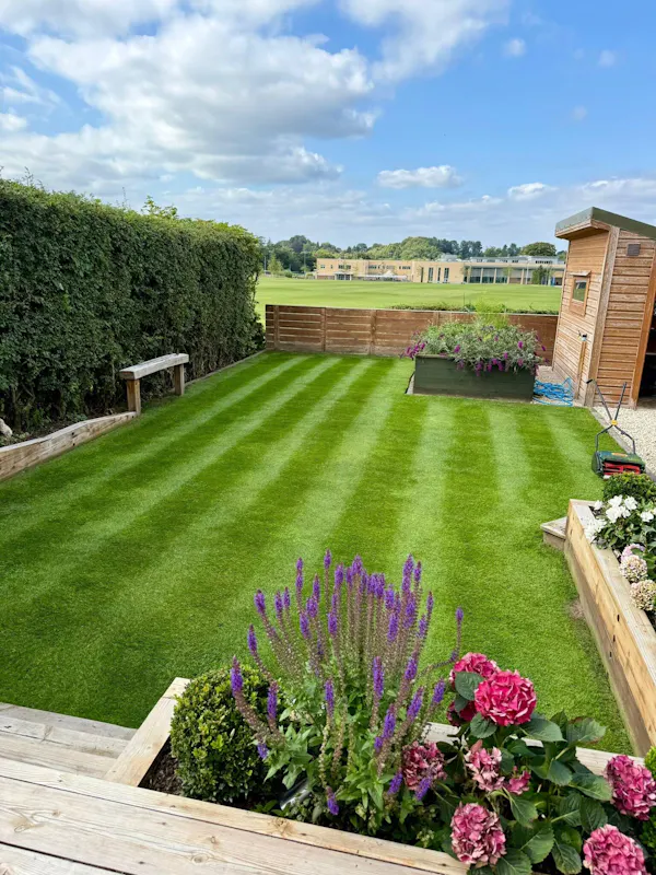 Dan lawn transformation
