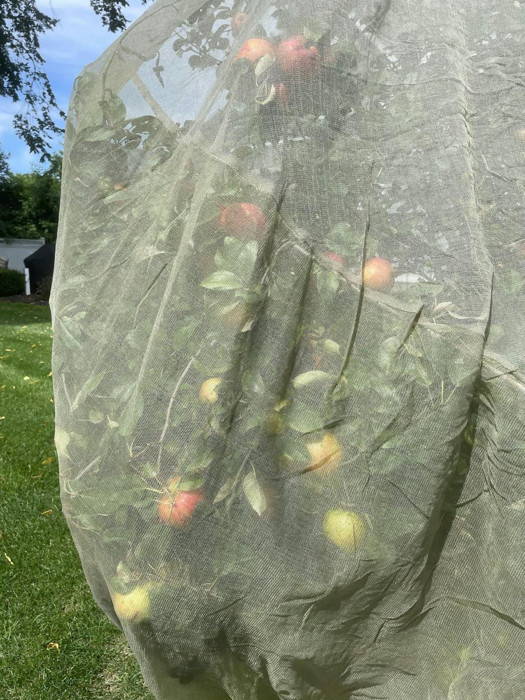 Haxnicks Fruit Tree Covers Greenhouse Megastore