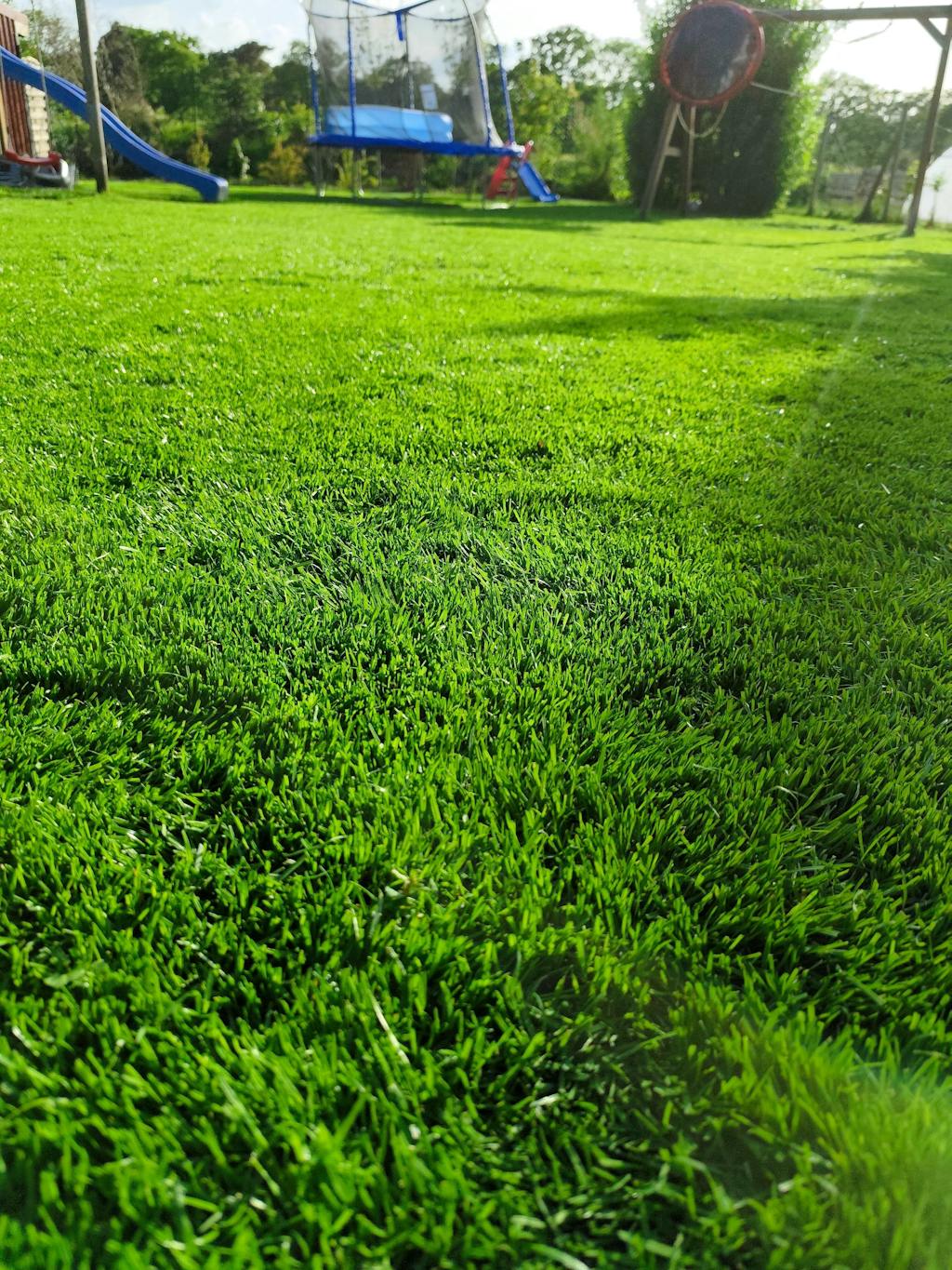 Sport- und Spielrasen