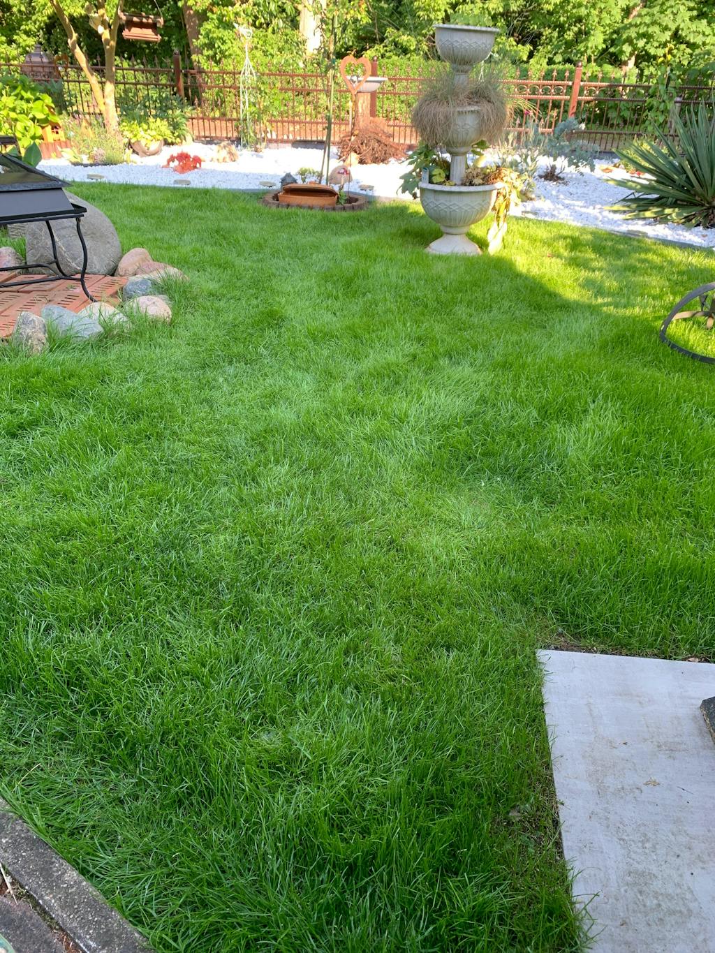 Langzeit Rasendünger