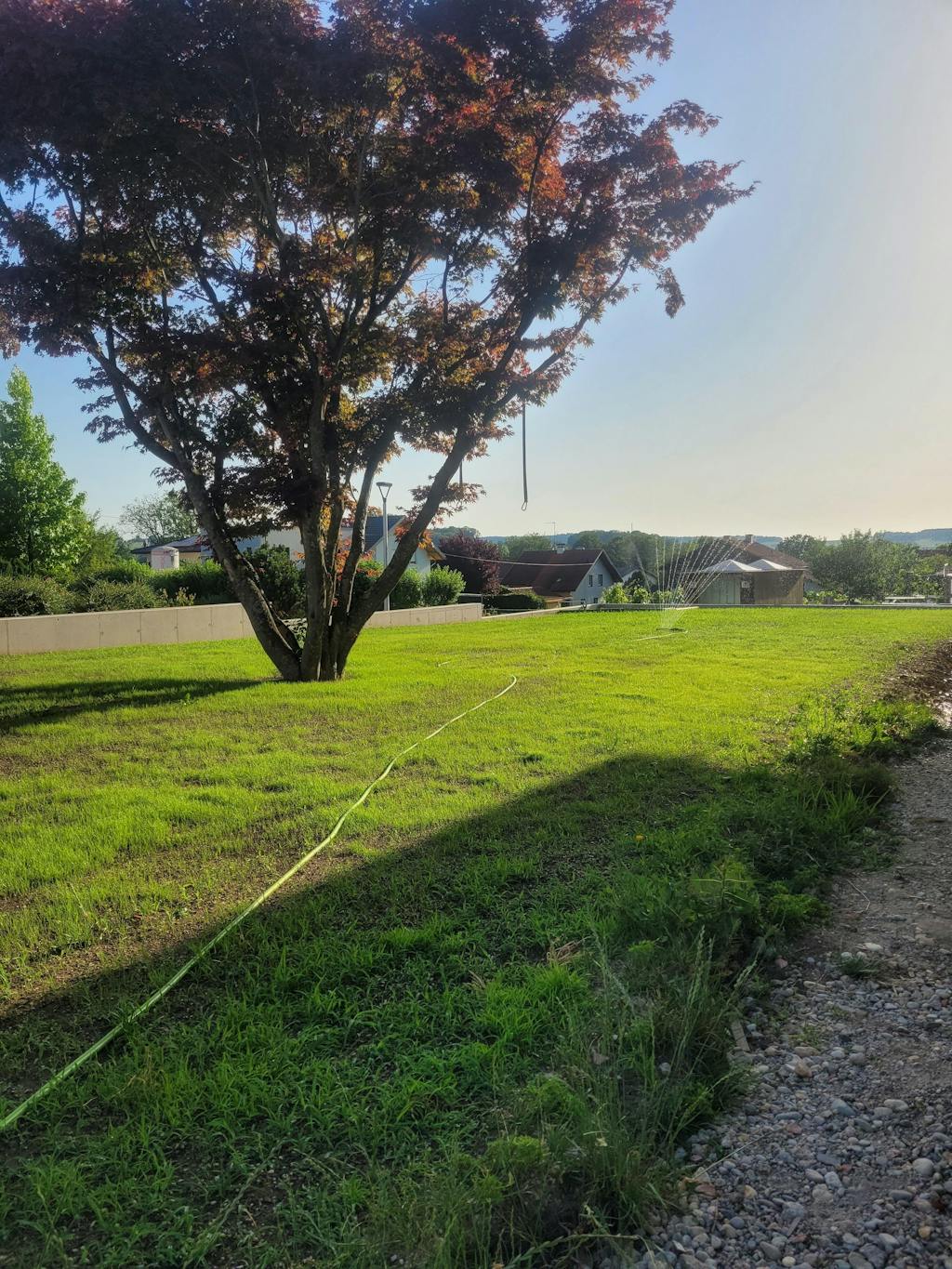 Sport- und Spielrasen